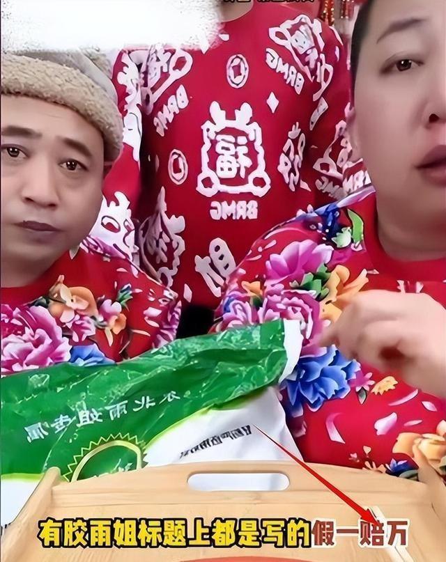 新澳2024资料免费大全版_“东北雨姐”虚假宣传被罚165万元,专家分析解释定义_精装款84.12.24