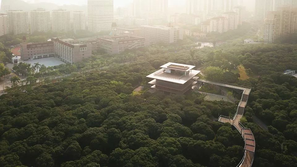 西陇科学最新动态，小巷隐藏宝藏，特色小店独特魅力揭秘