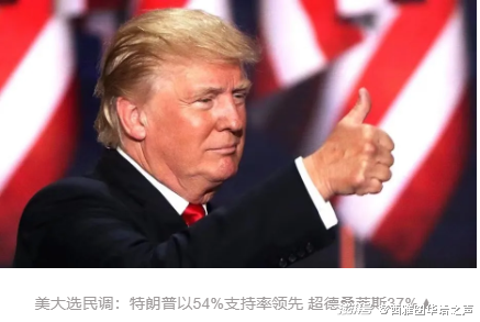 美国大选支持率最新动态，民意所向，谁将成为领跑者？