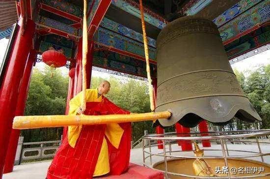 唐小僧最新动态，古寺钟声下的温暖日常