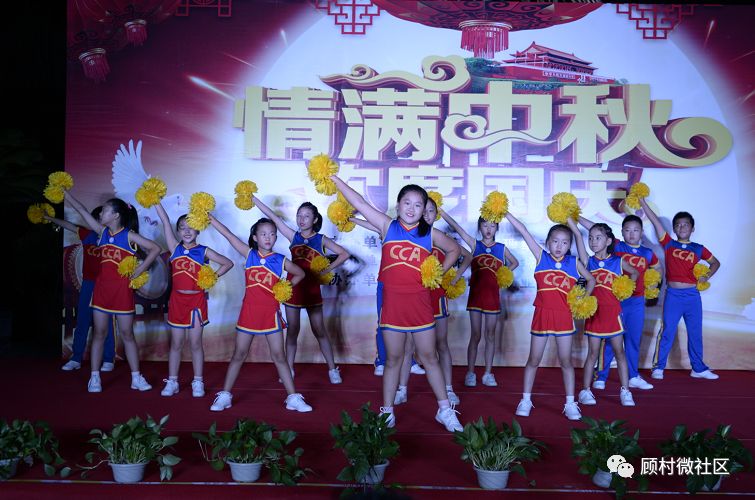 凤凰秀最新版,凤凰秀最新版，日常小趣事与友情的温暖纽带