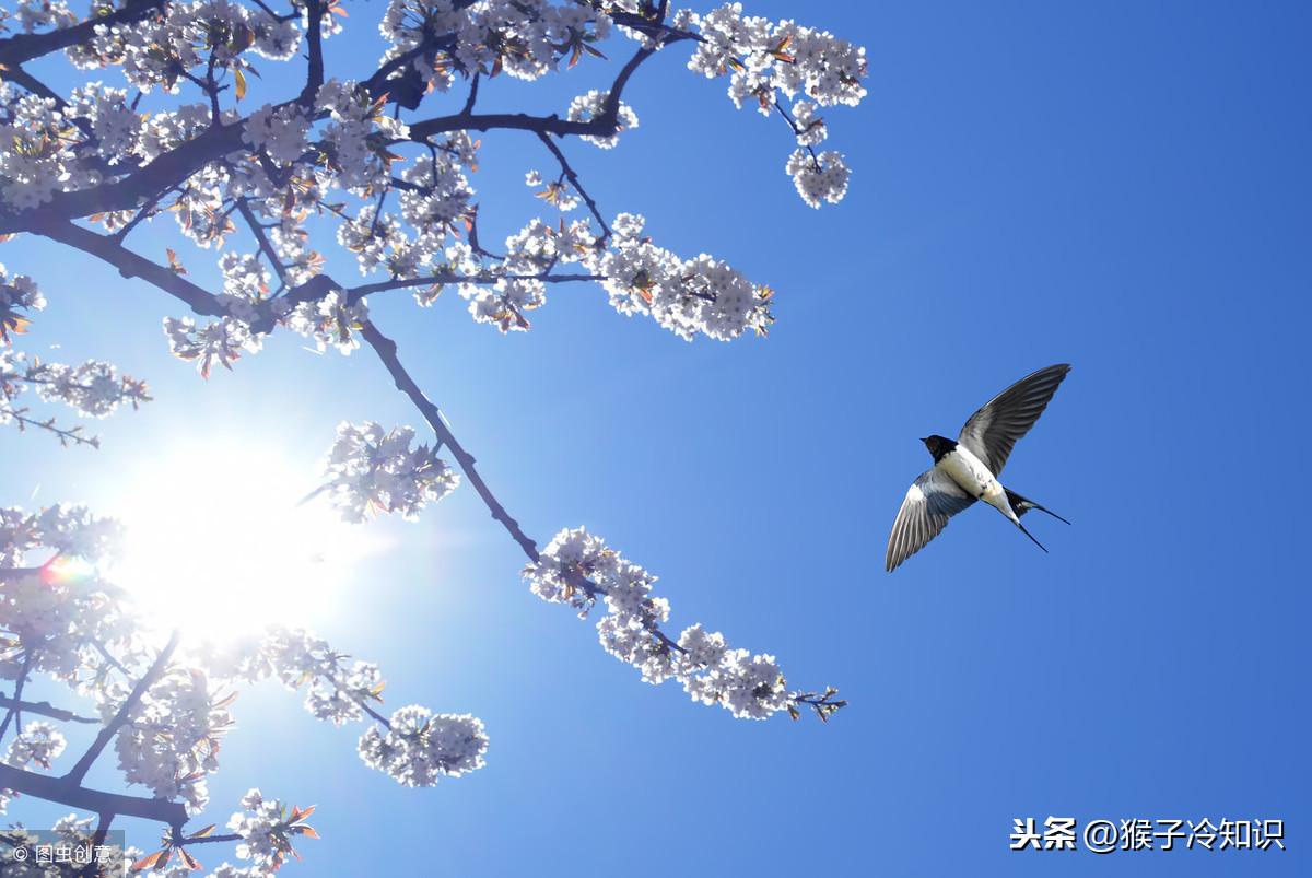 科技重塑居住梦想，最新房价动态与智能房产追踪报道！