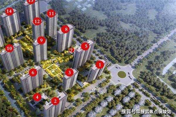 曲梁龙栖湾，蜕变之地最新动态，梦想起航，自信翱翔！