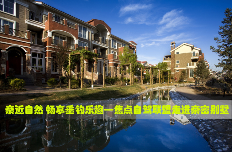 唐县天鹅湖最新房价揭秘，小巷深处的惊喜与二月市场动态