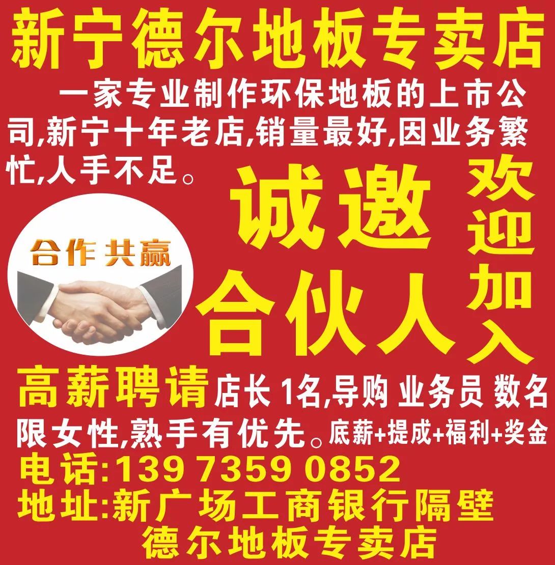 新宁县招聘网最新招聘，工作旅程的奇妙与友情的温暖纽带