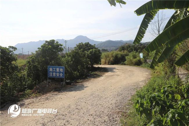 枫亭镇慈岳最新动态揭秘，小巷深处的独特风味