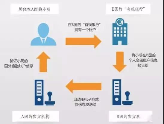 海外不应成富豪避税天堂，聚焦独特小店背后的税务问题揭秘