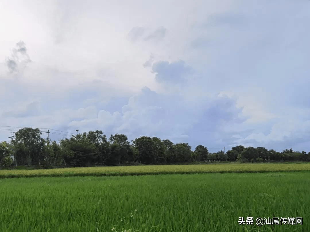 千万级翻车网红复播与小巷特色小店重现镜头
