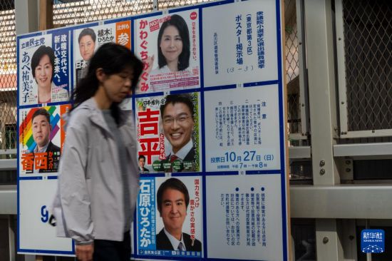 日本众议院选举公示发布，解读与洞察最新动态