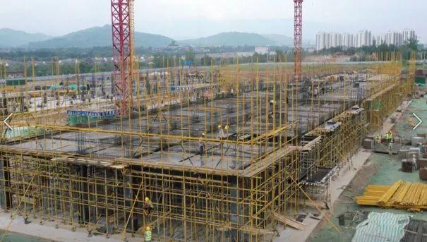 2024澳门天天开好彩大全下载_甘肃临夏失踪三姐弟大哥发声,精准解答解释定义_ios35.73.99