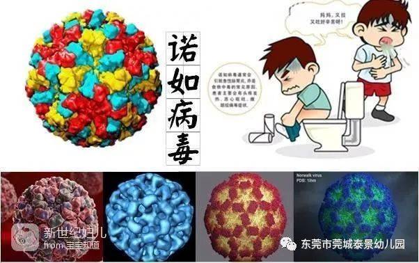 诺如病毒感染高发季，无声的挑战