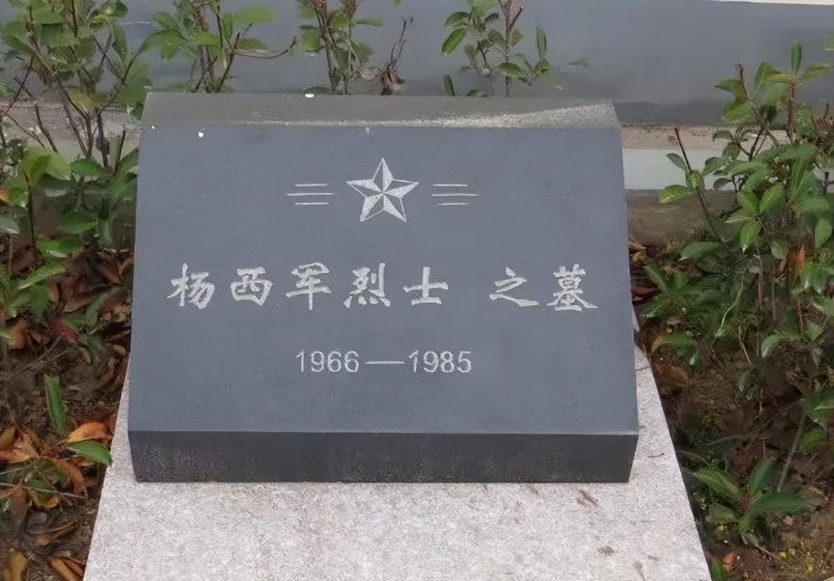 85岁烈士母亲用饺子传递深情励志故事，思念儿子，心系民警的温情瞬间