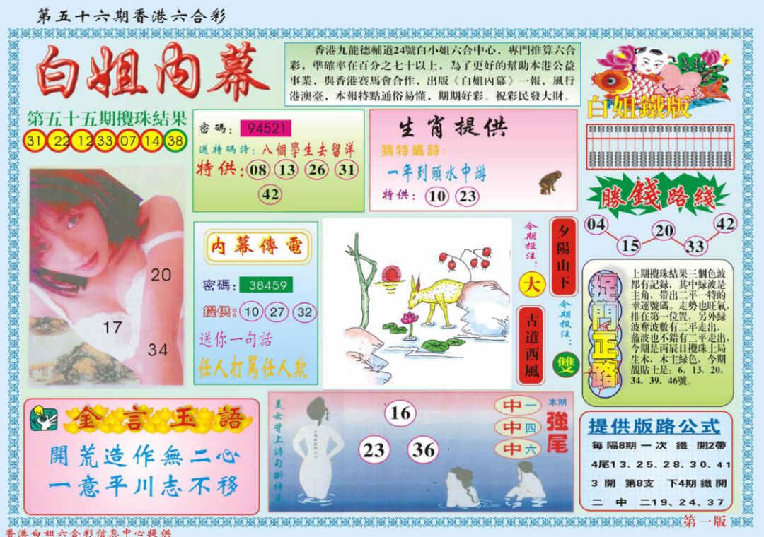 本期香港码开奖结果,高效实施策略设计_版本制4.039
