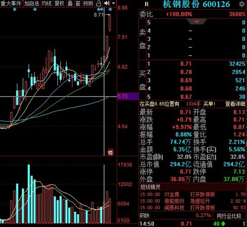 杭钢股份，钢铁巨擘的崛起，未来展望揭秘