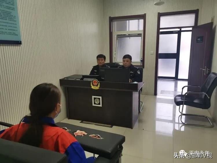 鹦鹉案最新结果详解，如何关注并理解法律案件进展动态？