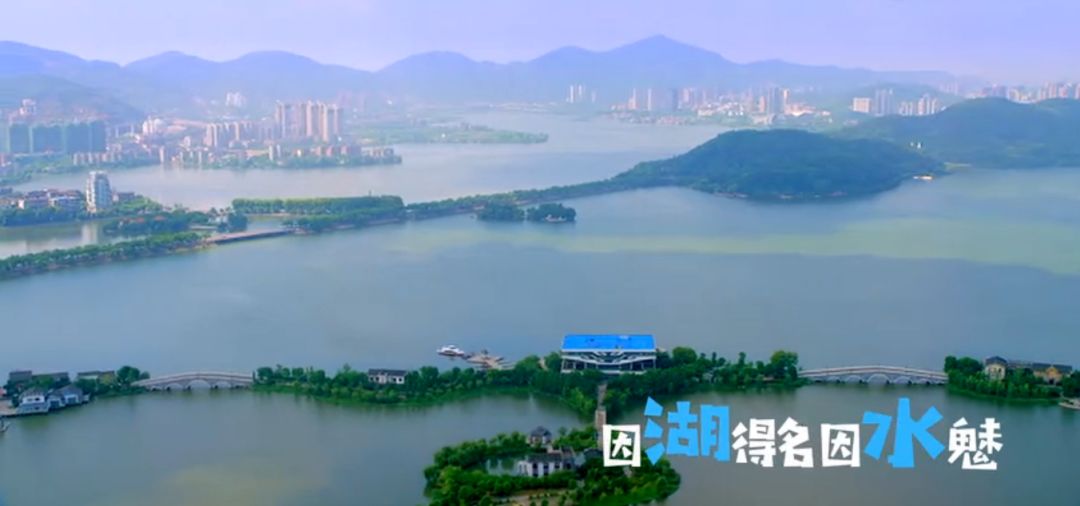 最新动态更新 第27页