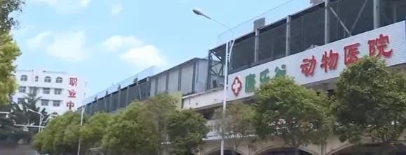 金昌最新房屋出租信息及温馨故事概述