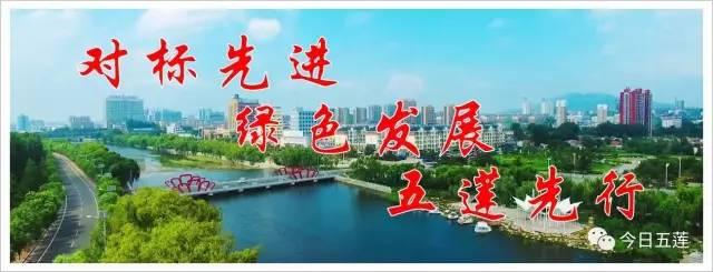小红书揭秘，五莲楼房最新报价大解密🏠✨