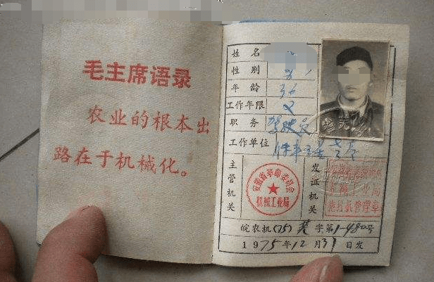 证件拍印最新版，小巷中的隐藏宝藏探秘揭秘