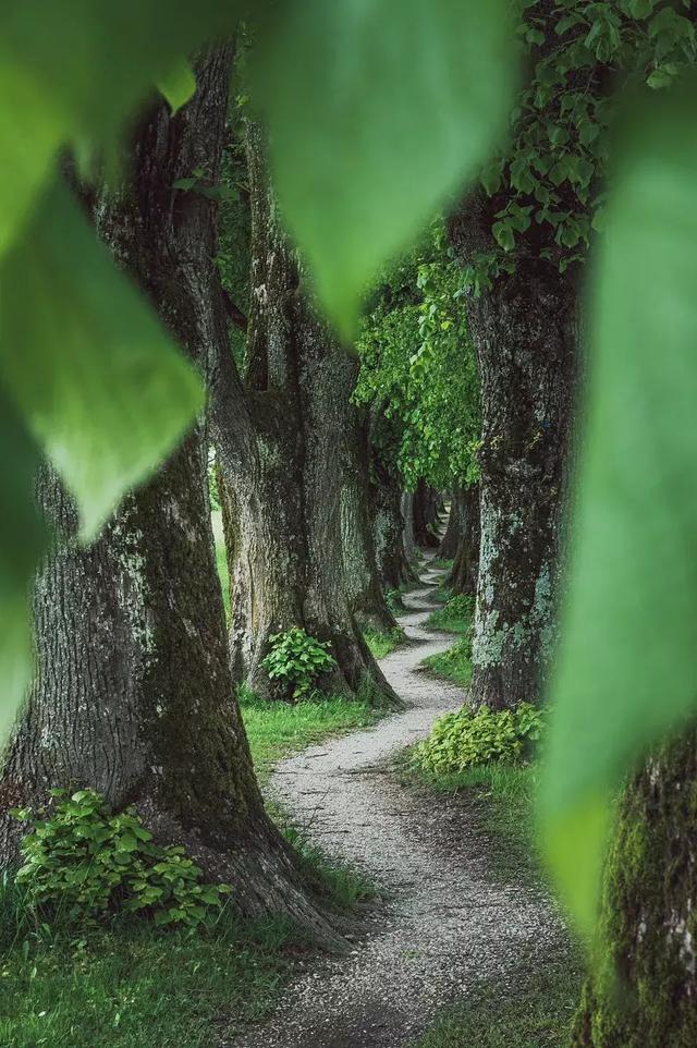 深圳能源最新目标价揭秘，心灵与自然美景的交融之旅