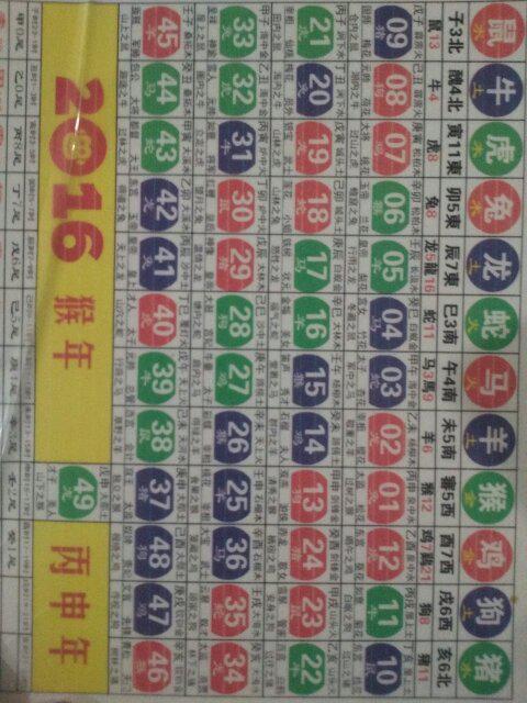 2024新版生肖恃码表49彩色澳门,定性解析明确评估_YQN23.810实现版