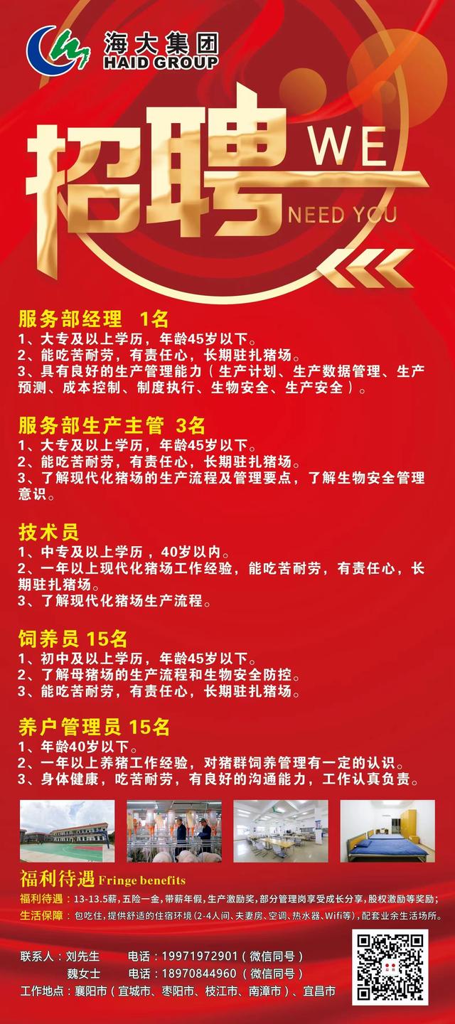 燕郊最新招聘信息双休，工作奇遇与友情的绽放之地
