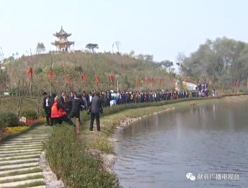 献县博缘国际的最新动态，变革中的力量与未来展望