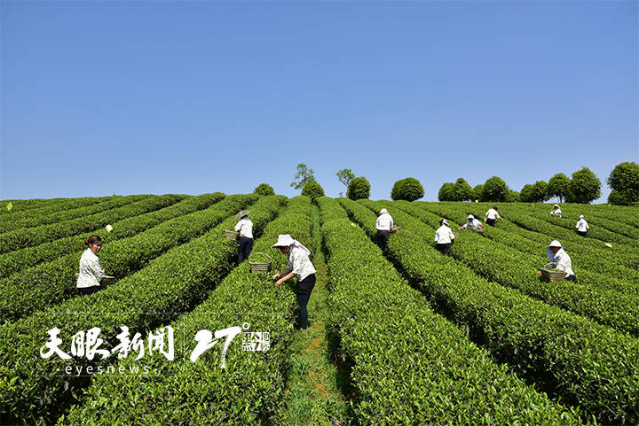 自然美景探索 第14页