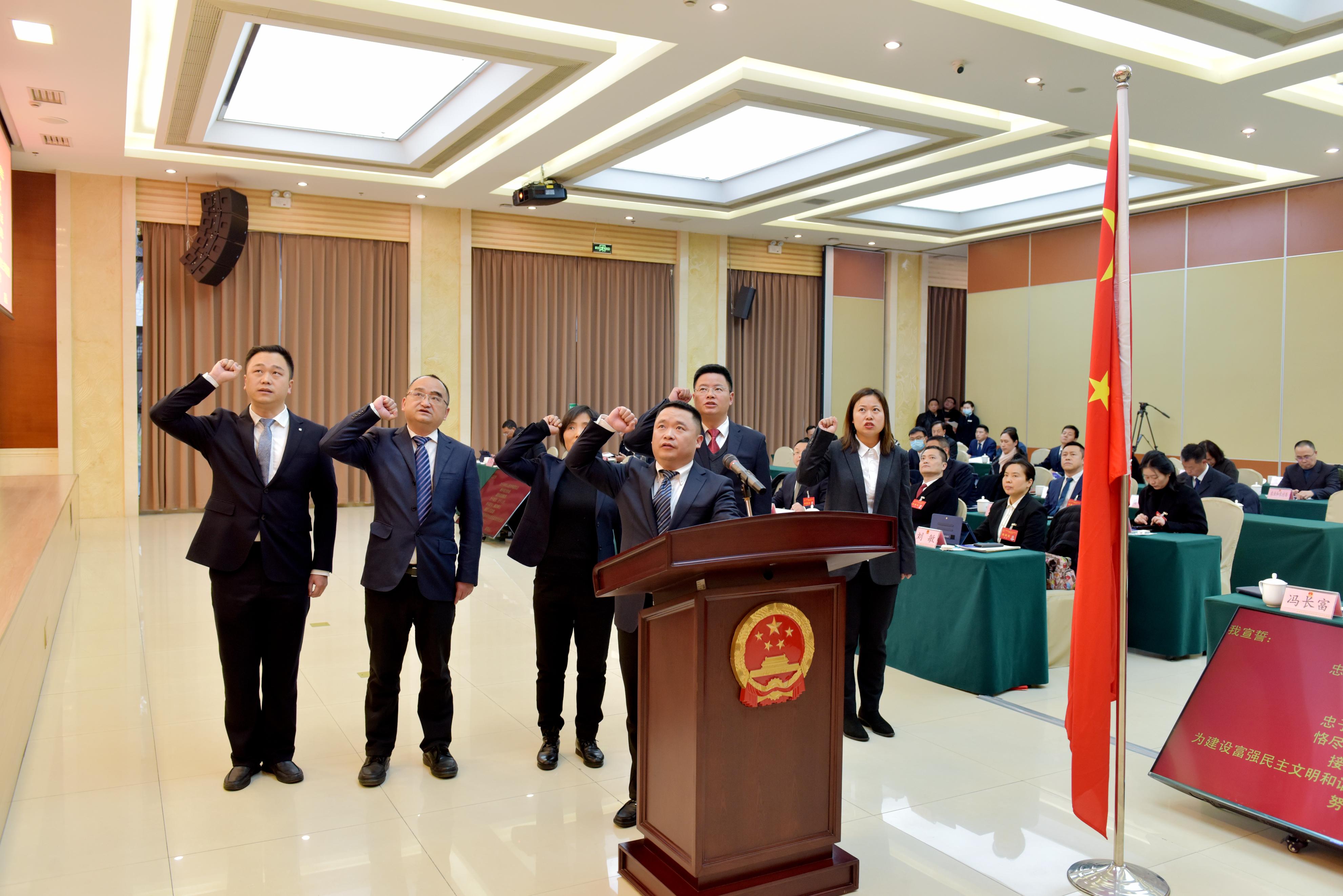 成都市双流区最新消息概览，获取指南与动态更新