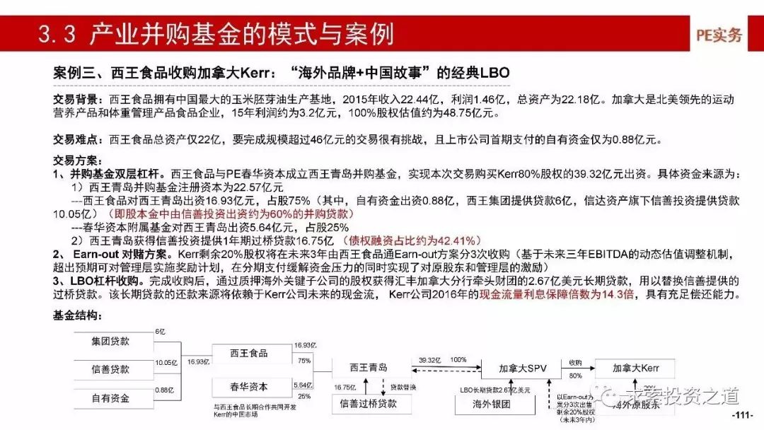 深度解析与观点分享