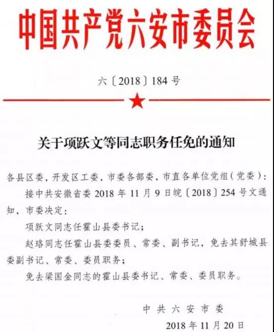 泉州市委人事任免更新，探寻特色小店奇妙之旅的惊喜发现