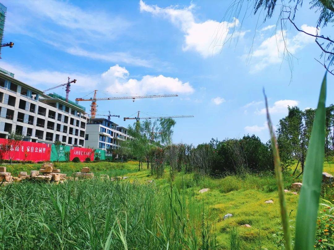 恒信绿地公馆最新动态揭秘，与自然美景的邂逅之旅