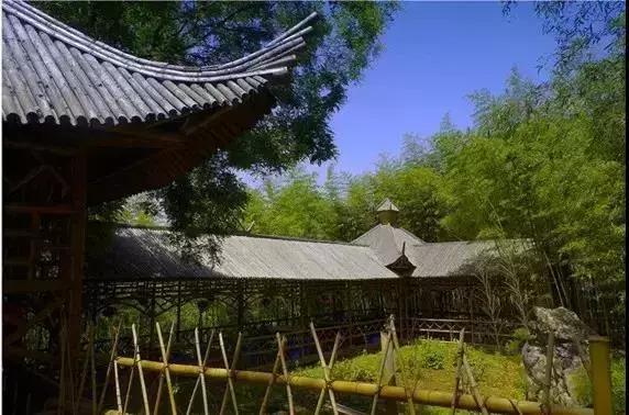 最新小孩玩的探索之旅，自然美景中的心灵寻觅与平静之旅