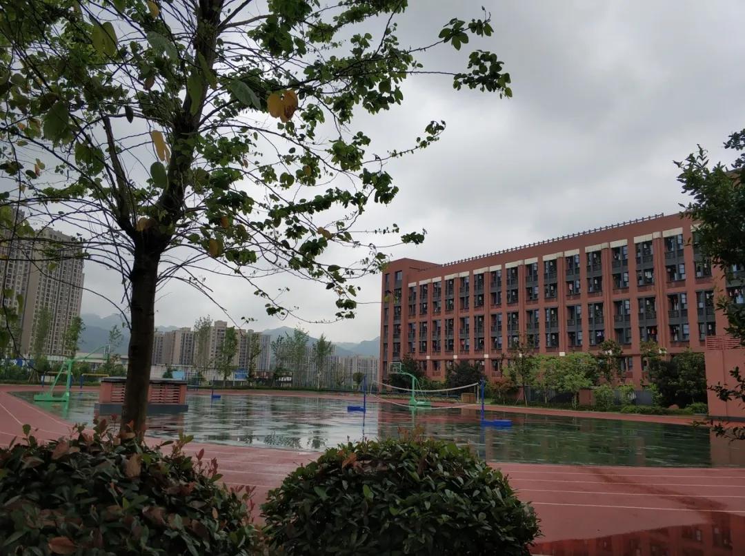 📣重庆大学城最新消息大揭秘，发展动态一网打尽！🎉