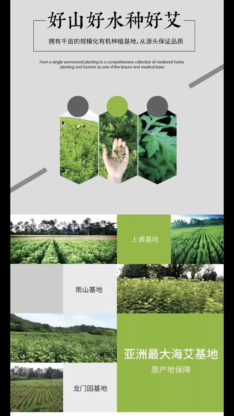 山水水泥引领行业变革，共创绿色未来的最新公告