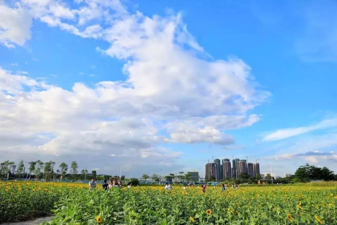 下载最新版手机快手，共舞大自然，启程心灵探索之旅！