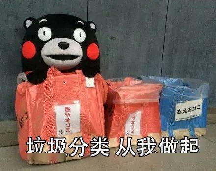 废纸价格最新,废纸价格最新动态，揭秘智能废纸回收系统的科技魅力