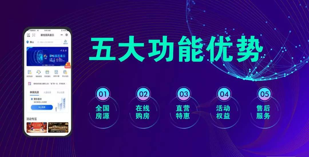 台凤最新动态，实时更新，不容错过！