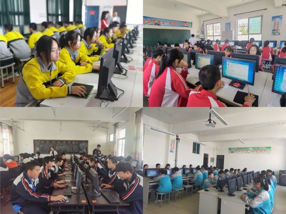 玛鲁娜最新指南，任务完成与技能学习详细步骤手册