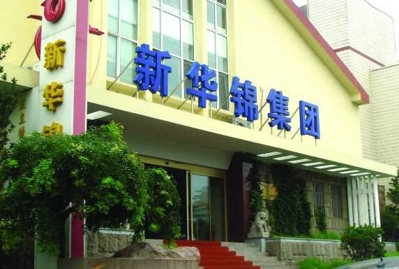 新华锦最新动态，引领时代潮流，铸就辉煌成就