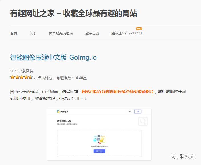 最新网站的奇妙日常，友情、趣事与爱的纽带之旅