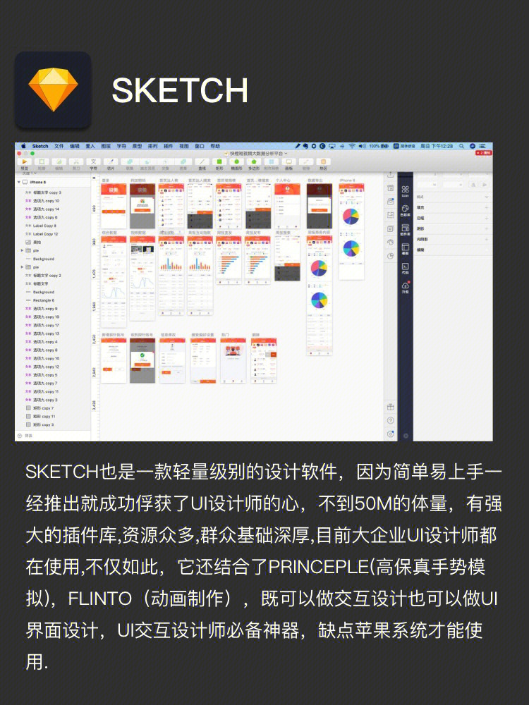 Sketch最新版，设计领域的创新革命