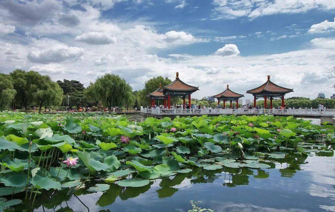 宁阳招聘网最新招聘，探索自然美景，寻找内心平和之旅