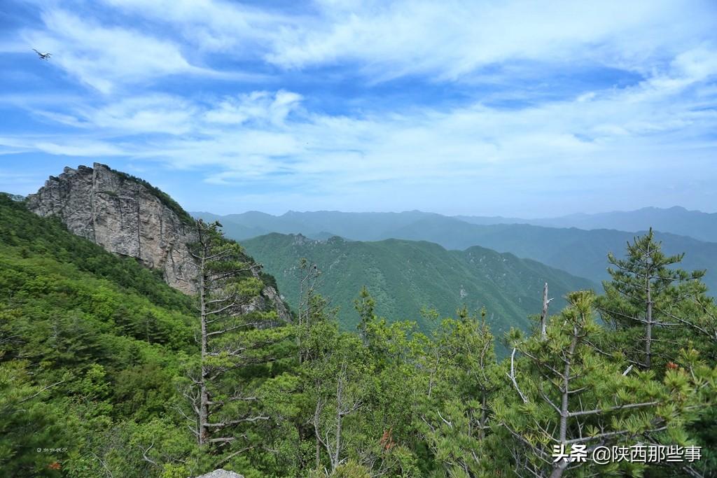 全国疫情最新消息今日更新，大自然呼唤你共同前行！