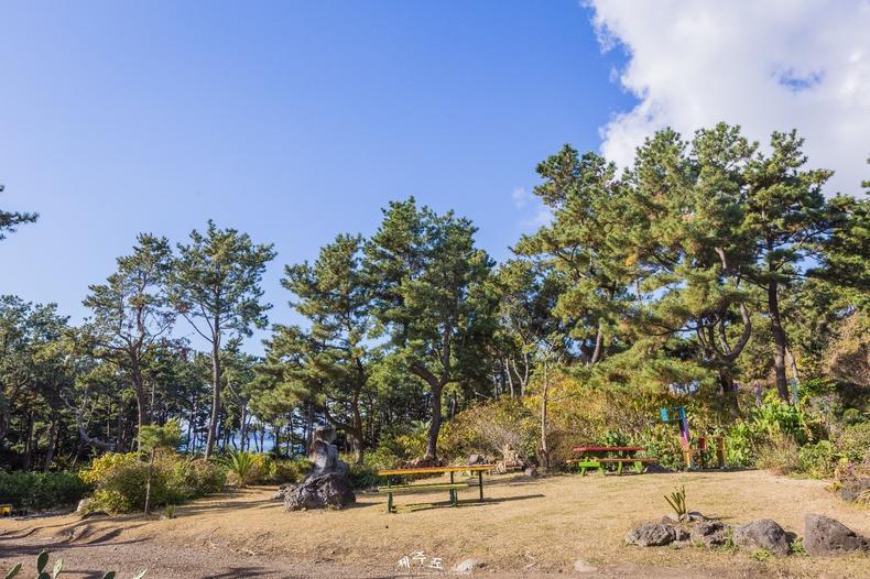 最新应用宝，探索自然美景，寻找内心平和的旅行应用