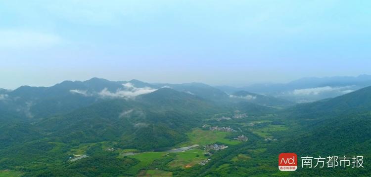 惠州市龙门县最新招聘，探索自然美景，寻找内心平静之旅