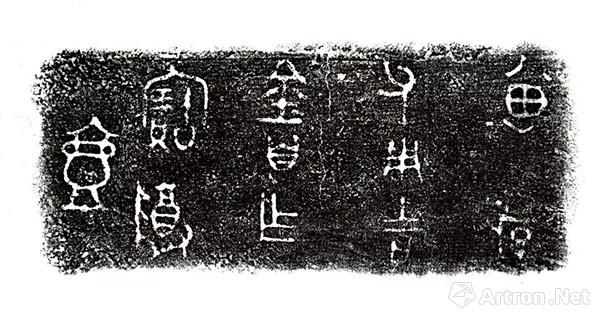 坪坝镇苏家垄新发现，种子变革与未来希望展望