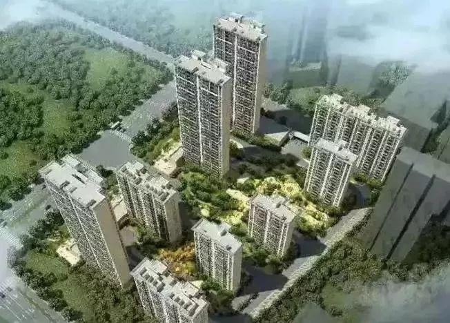 MV拍摄 第50页