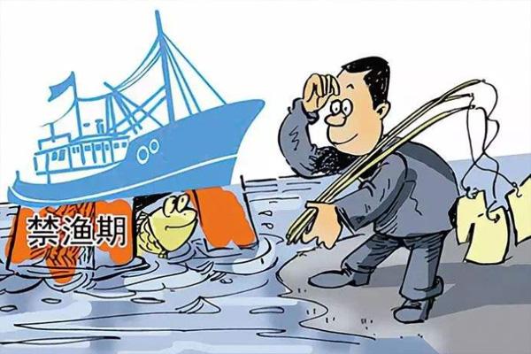 2017年禁渔期最新消息全面解读