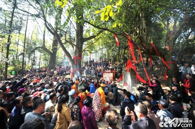 岑巩县大有镇最新动态，自然之旅的心灵觉醒